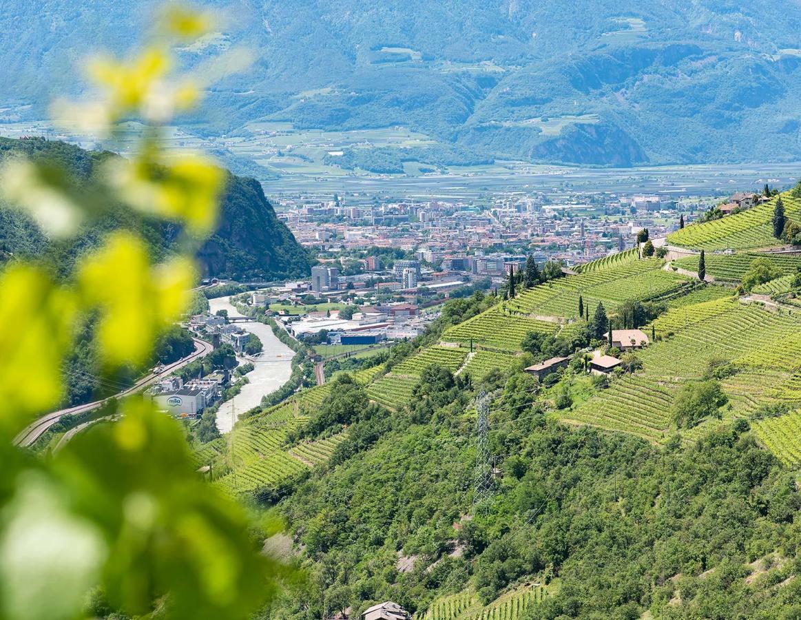 Weingut Schmid Oberrautner Apartment Suites Болзано Екстериор снимка